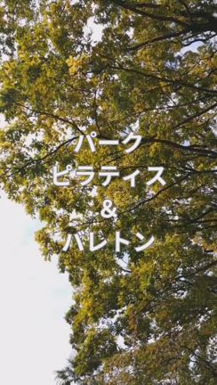 パークピラティス＆バレトン開催しました。の記事動画