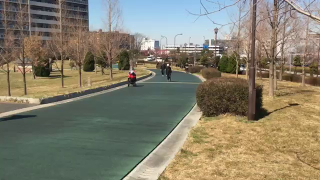 トレーニング日和です。の記事動画