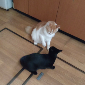 今日は母の命日で・・・の画像