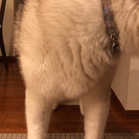 夜にテンション上がるのなんで？の画像