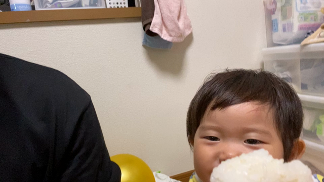おにぎりと次男の記事動画
