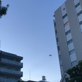 飛行機の画像