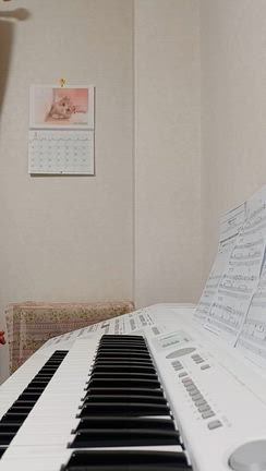 未亡人の暇潰し♪の記事動画