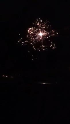花火の記事動画