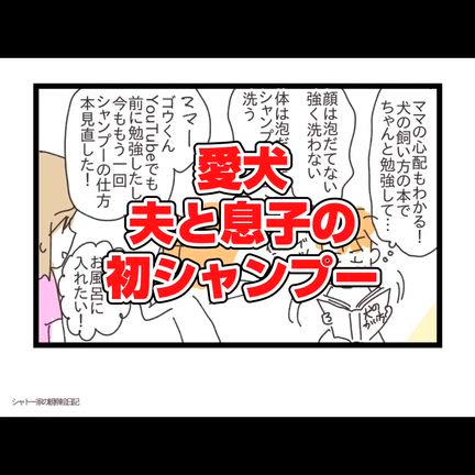 夫と息子の愛犬初シャンプー動画の記事動画