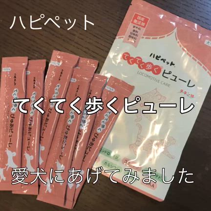 ［PR］てくてく歩くピューレ⭐︎愛犬の健康サポートにの記事動画