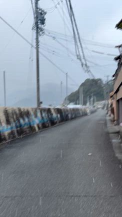 城渡船　釣果　2月5日　水曜日の記事動画