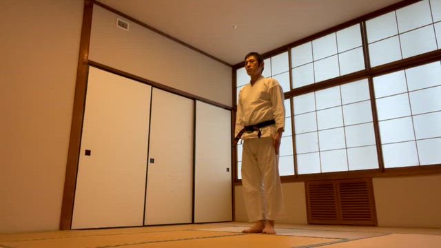 空手の型は最先端の記事動画