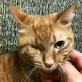 2018年始動の画像