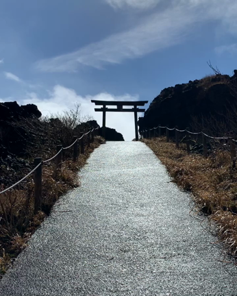 相方さんと伊豆大島にふたり旅。の記事動画