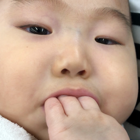 癒しの動画をお届けの画像