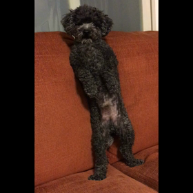 秘蔵動画公開！の画像
