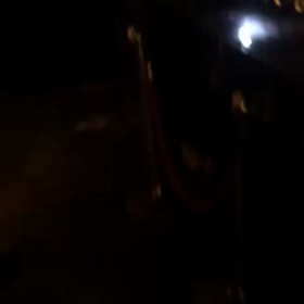 荒野のSoul Man現る！！！の画像