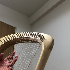 38  ライアー上達への道 ☆ 久々の投稿の画像