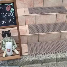 お家カフェの画像