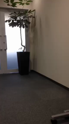 モテようと思ってさの記事動画