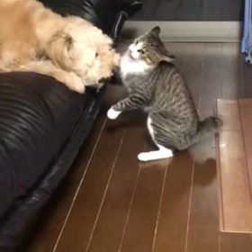 負けられない戦いがここにある‼️の画像