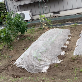 愛知県西部の画像