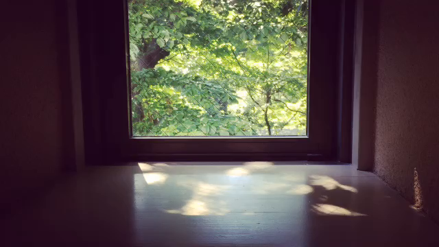 街と私。私と街。の記事動画