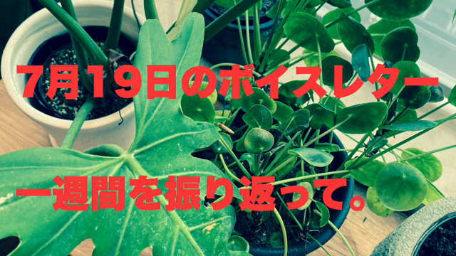 次男からの報告。の記事動画