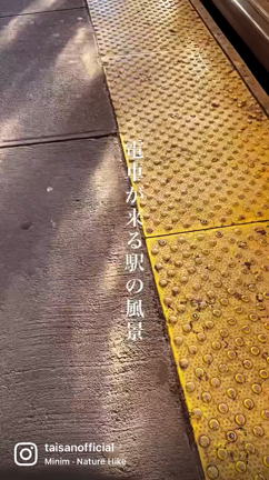 ニューヨーク　週末ブログ　今月はこんな感じの記事動画