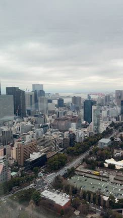 大好きな景色が見える美味しい場所╰(*´︶`*)╯♡の記事動画