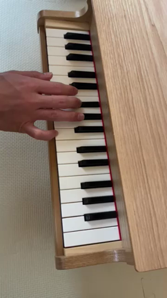 何を弾いてるでしょうか？！の記事動画
