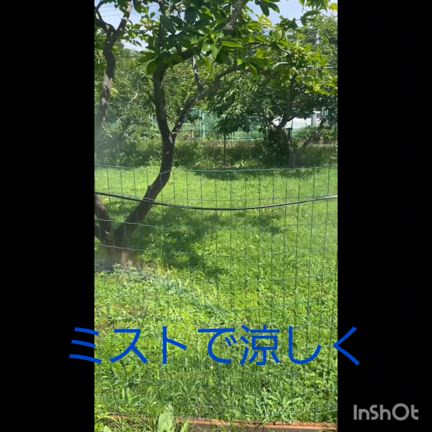 DOG PARK譲渡会を開催いたしましたの記事動画