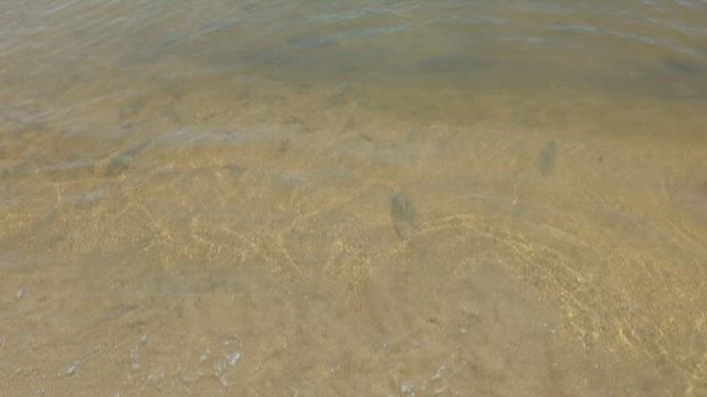 苦潮の記事動画