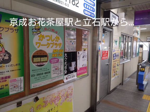 桜の季節は好機到来の記事動画