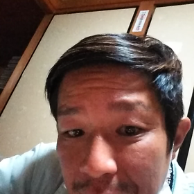 スズメバチの研究したいの画像