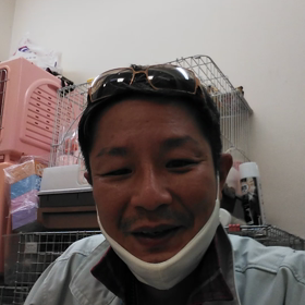 オールインペット店長ジンクスの画像