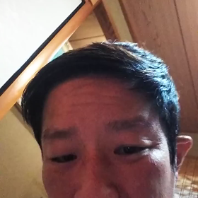 日本の、ヤクザなめとんかの画像