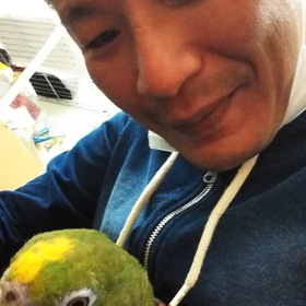 キビタイボウシインコ遊び時間ですの画像