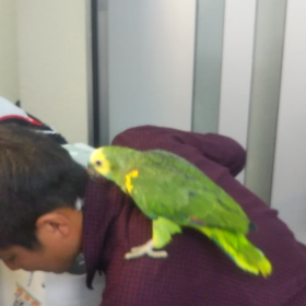 人生かえしてねの画像
