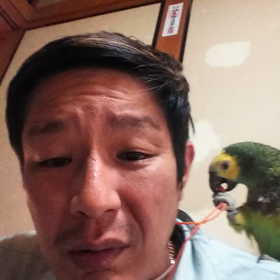 しばくどわれの画像