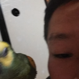 今日も元気パワフル開店致しますの画像