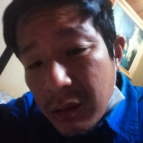 ちんぼゴキブリの画像