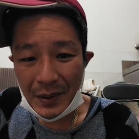 鳥の情報の画像