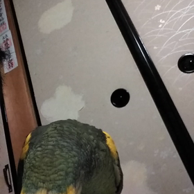 恐いな、顔の画像