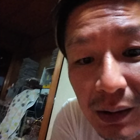 グッピー2ヒキ、財産分与の画像