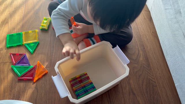 キャッツアイの記事動画