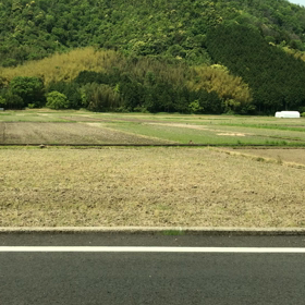 ☆ビックリ〜☆の画像