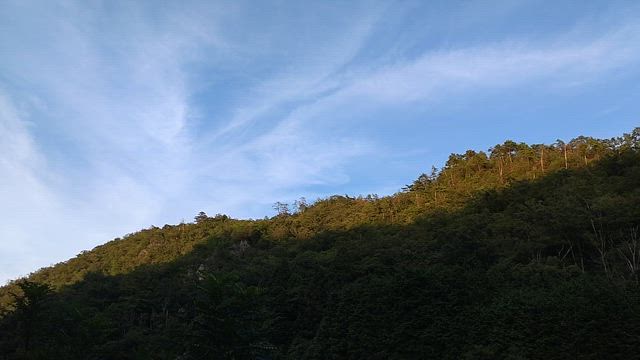 大暑の頃の景色の記事動画
