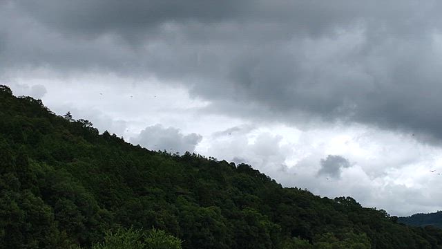 小暑の頃の景色の記事動画