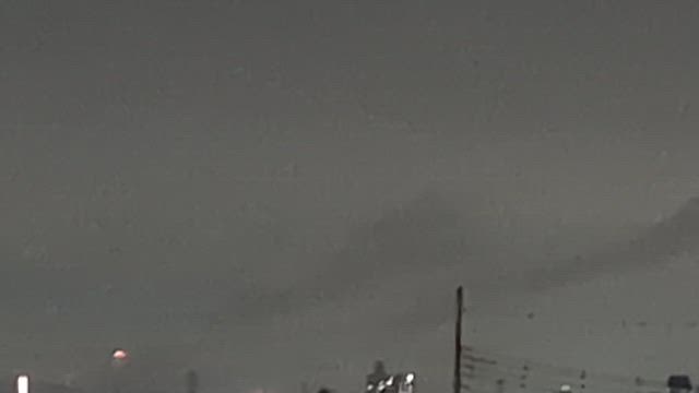 百花繚乱❗️の記事動画