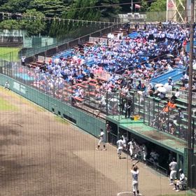高校野球観戦の画像