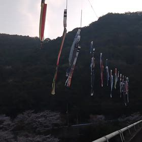 島瀬ダム動画編の画像