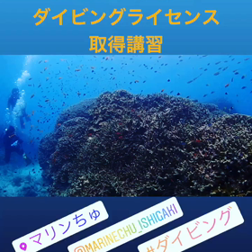 ダイビング‼️海人石垣島の画像