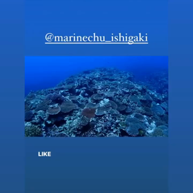 石垣島は梅雨明けした模様です！海人石垣島の画像